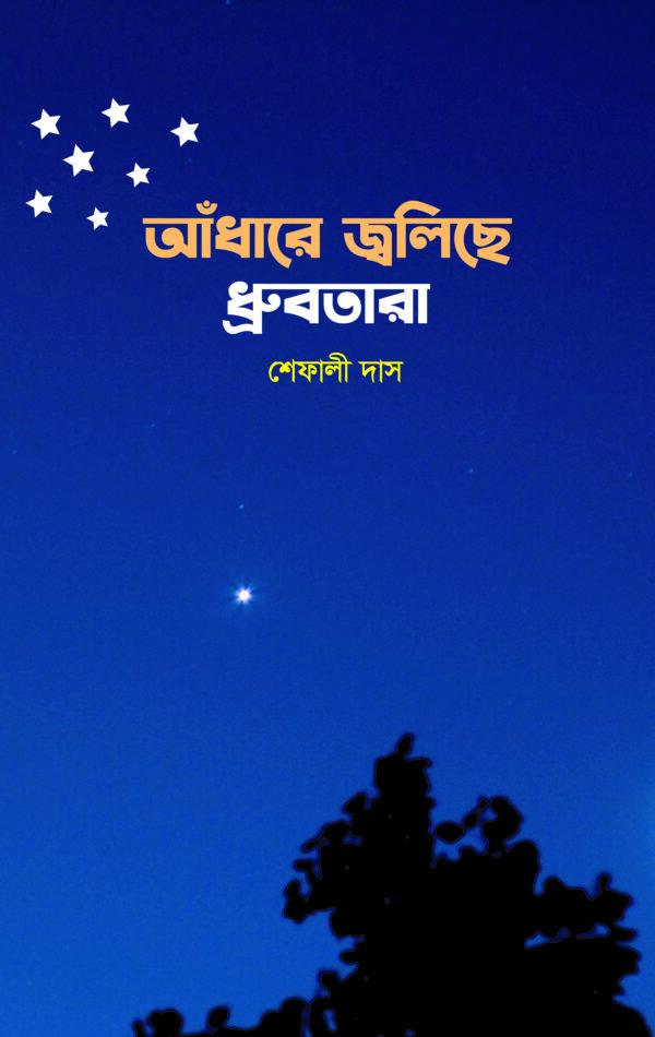 আঁধারে জ্বলিছে ধ্রুবতারা